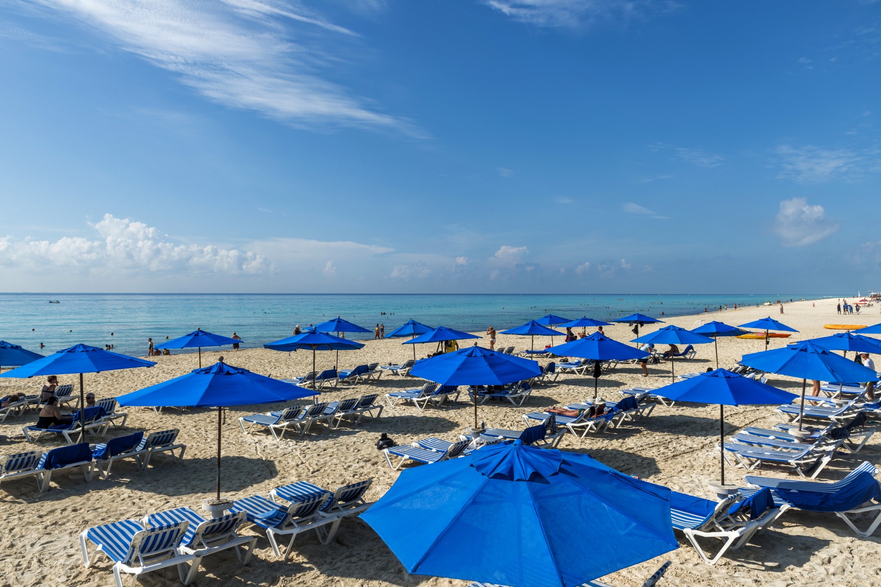 The Reef Playacar